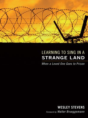 cover image of Learning to Sing in a Strange Land